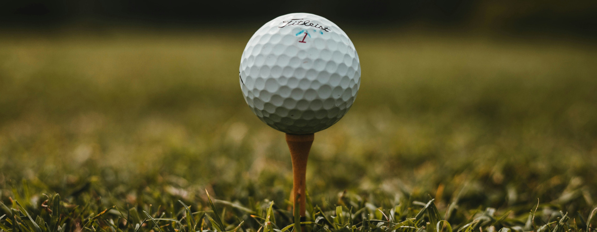 OpenGolf SA